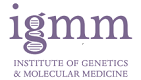 Institute of Genetics Molecular Medicine logo