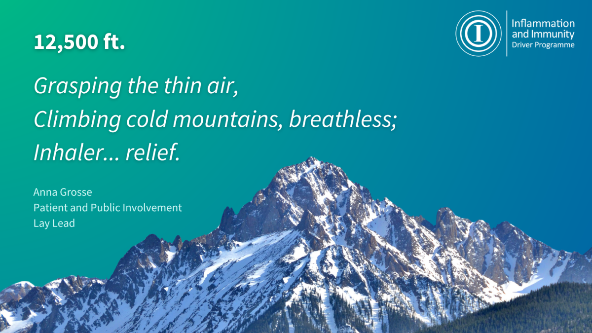 Blue/green background, photograph of mountain at the bottom. White text reads: "12,500 ft. Grasping the thin air, Climbing cold mountains, breathless; Inhaler... relief."