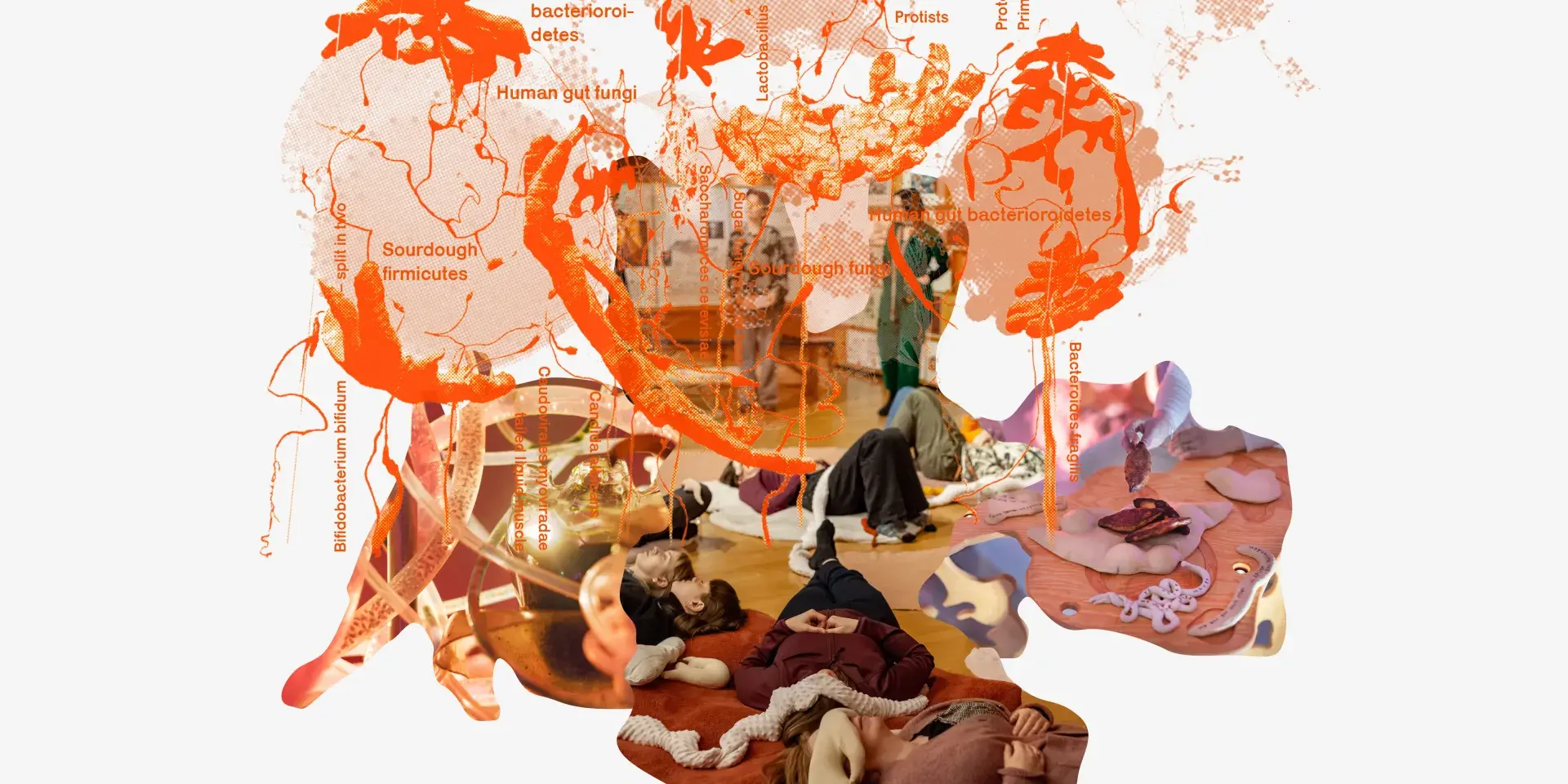 Graphic representation of the spatial 'holobiont mapping' of Cometabolise: A Holobiont Dinner, edible encounters of Sensing Holobiont and participants in Gutscapes.