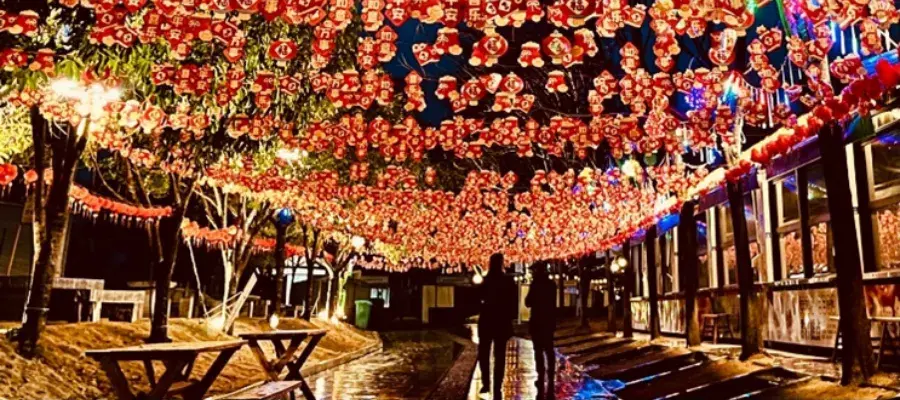 Hanging lanterns in celebration of Spring Festival (Chinese New Year)