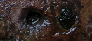 A close up of brown cells, subtitles say ' have you heard of Hela cells'