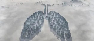Forest landscape edited to look like lungs