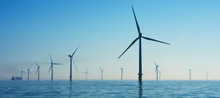 An image of rows of wind turbines standing in the sea.