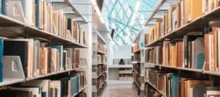 Two full book shelves in a light filled museum.