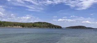 The wooden shoreline of Maine