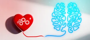 Graphic depicting a heart connecting to brain image