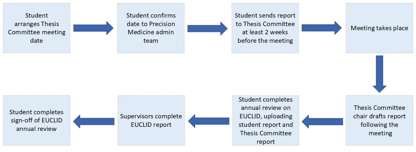 PM Annual Review Process Diagram