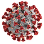 picture of covid virus