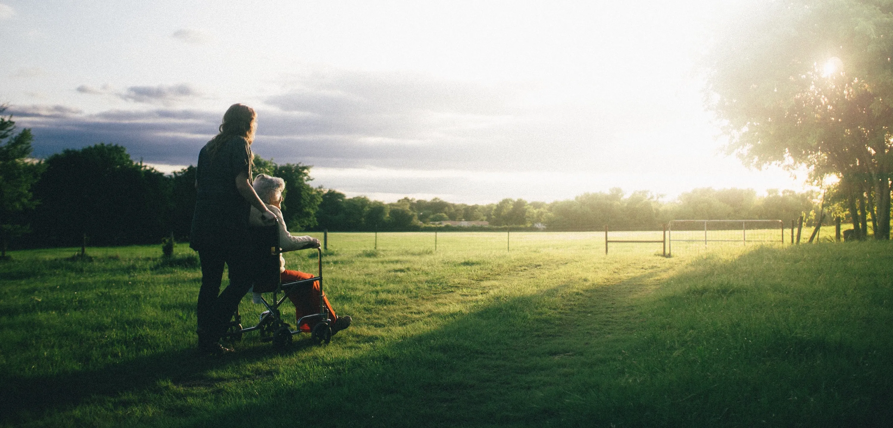 elderly and frailty image