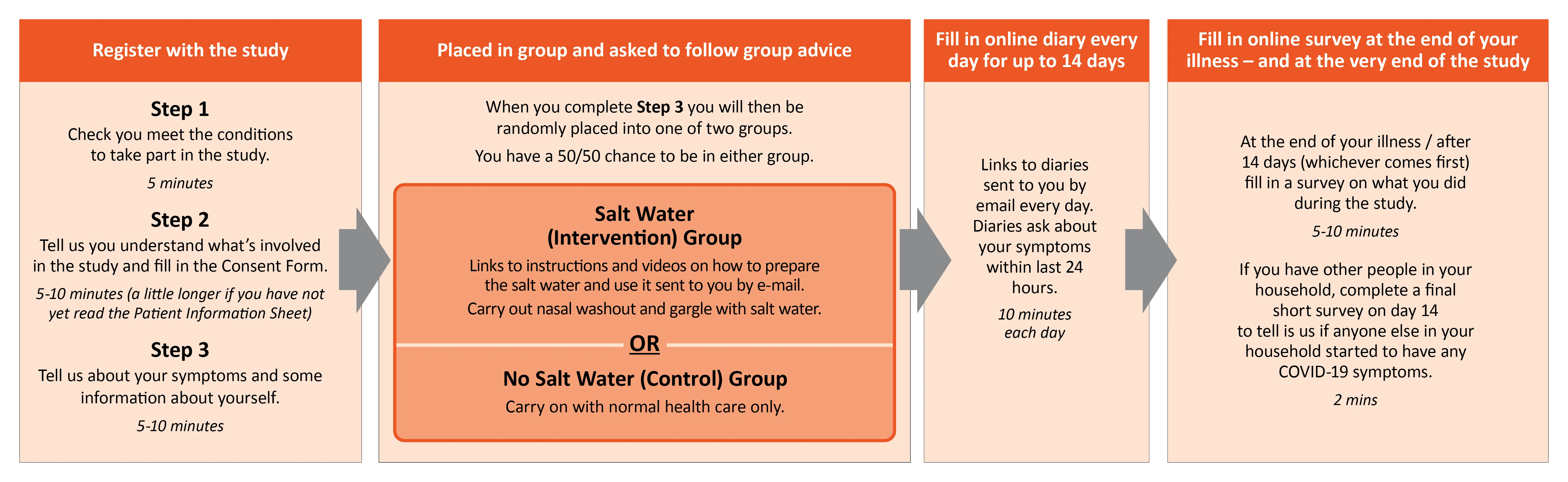 ELVIS COVID-19 study flow diagram - all information in text in the page below