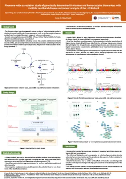 Image of poster - PDF can be downloaded