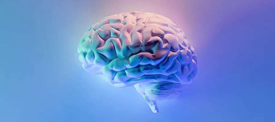 Photo of brain by Milad Fakurian on Unsplash 