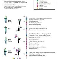 LJ frailty p4