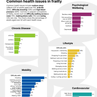 LJ frailty p5