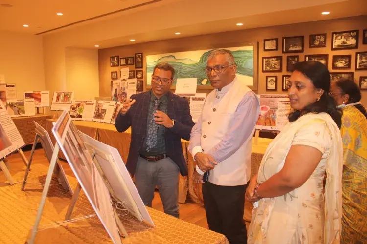 Four participants interacting with a gallery