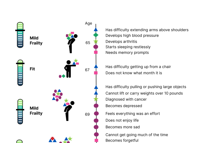 LJ frailty p4