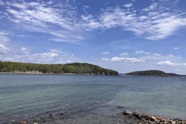 The wooden shoreline of Maine
