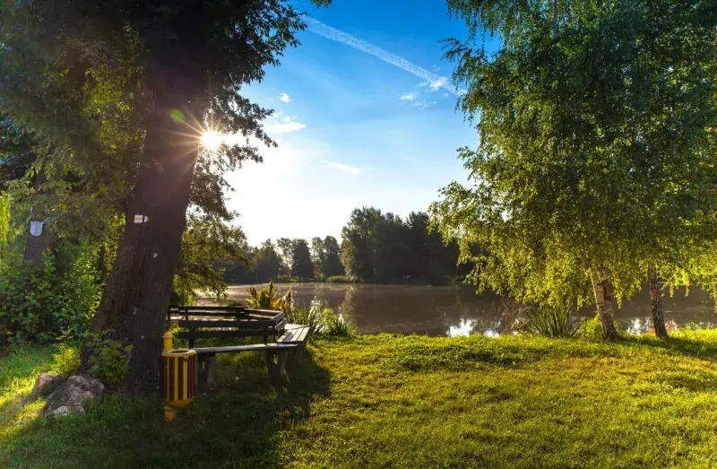 Park with lake