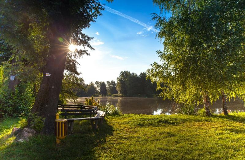 Park with lake
