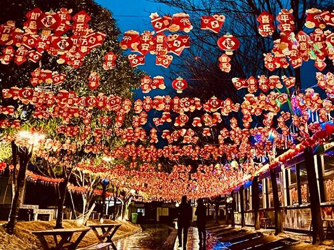 Hanging Chinese lanterns in celebration of Spring Festival
