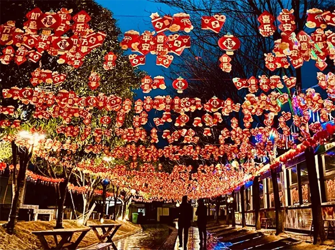 Hanging Chinese lanterns in celebration of Spring Festival