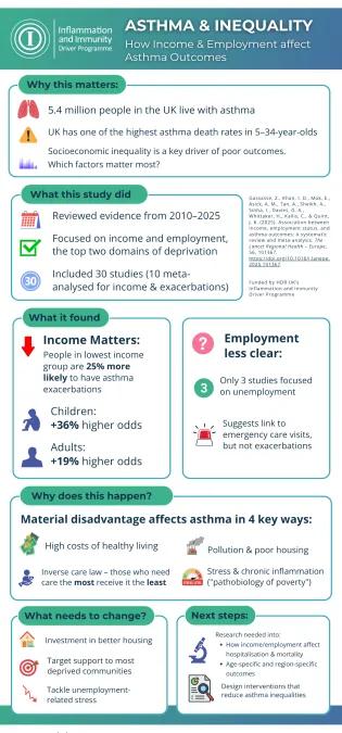 Infographic depicting main points from Lower incomes linked to higher rates of asthma exacerbation in both adults and children