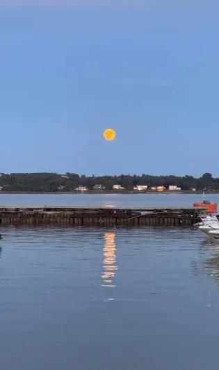 Group of researchers at EPIC AGEWELL