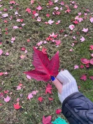 Deniz finds a bright-red leaf in the park