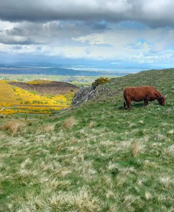 Photograph of Scotland scenery