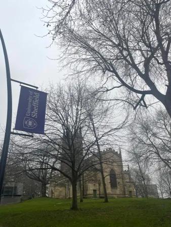 The University of Sheffield