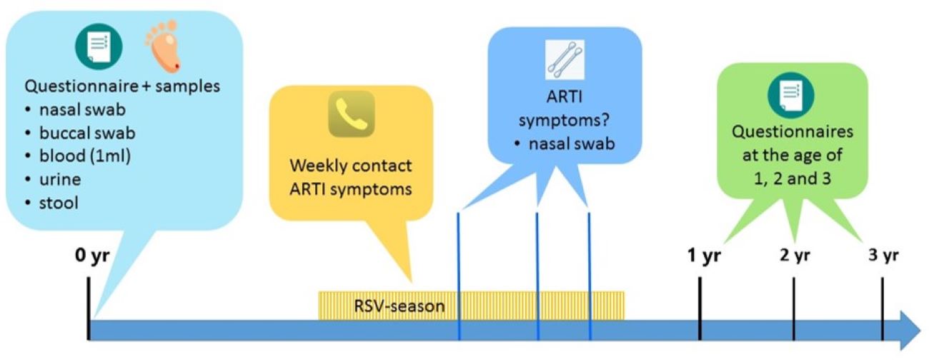 Resceu Systematic review structure