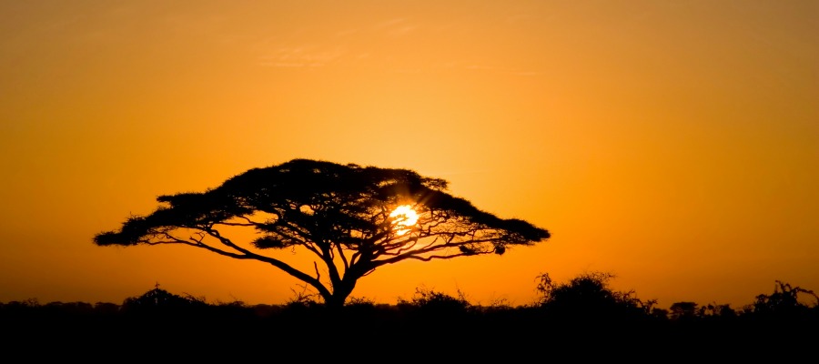 African sunset