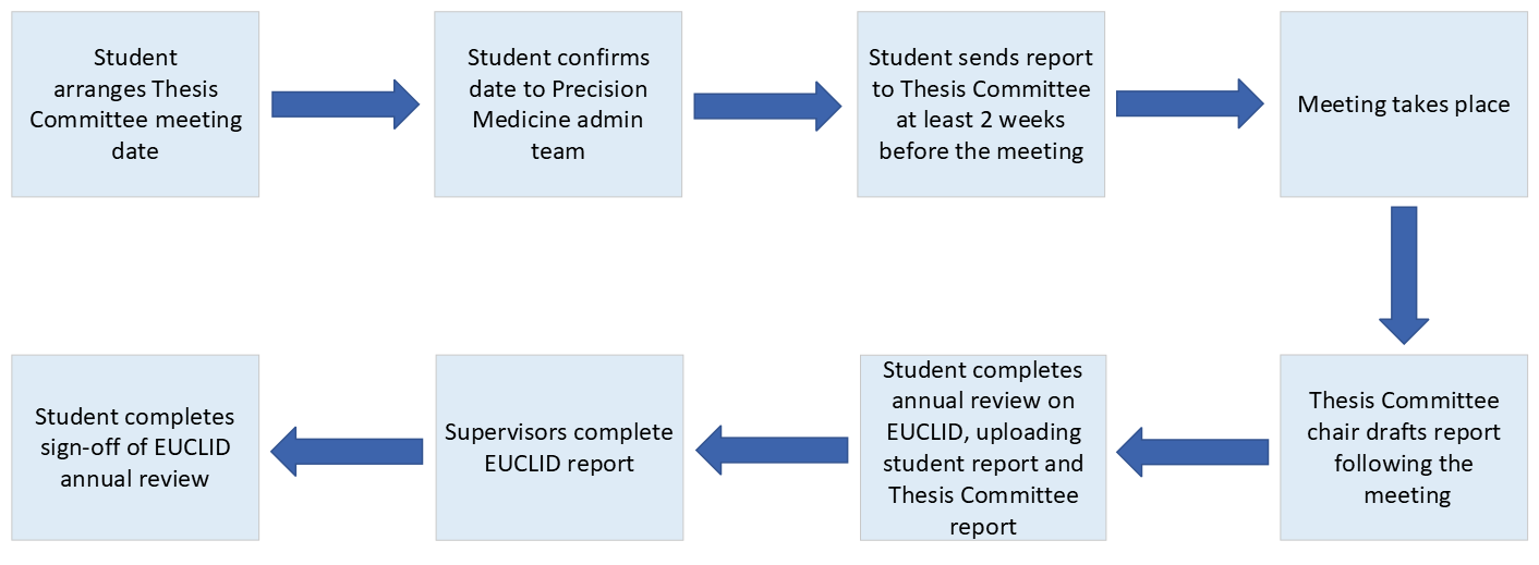 PM Annual Review Process Diagram