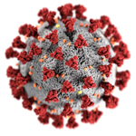 picture of covid virus