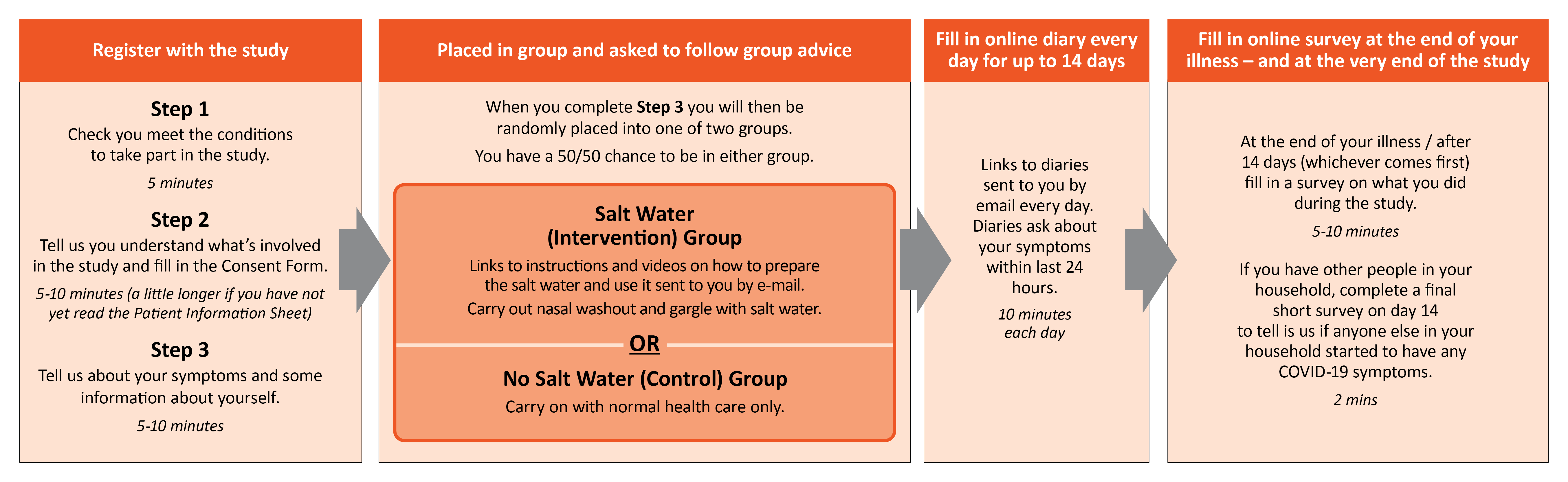 ELVIS COVID-19 study flow diagram - all information in text in the page below