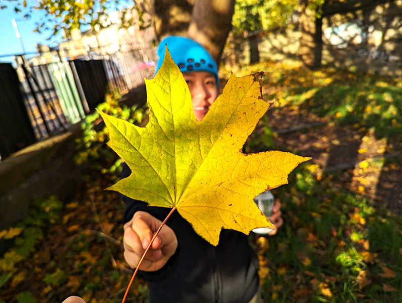 Usher community leaf competition