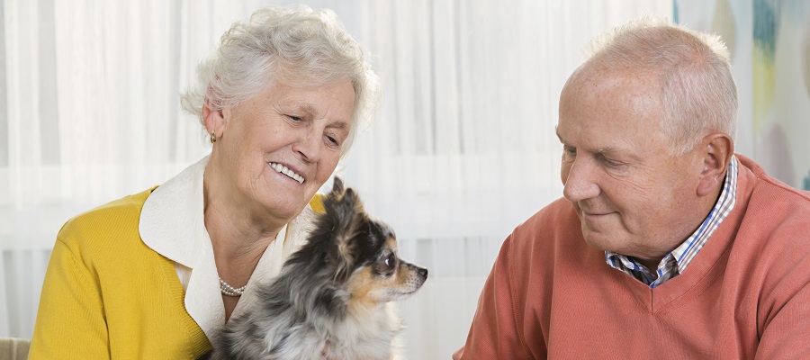 Older adults sat with small dog