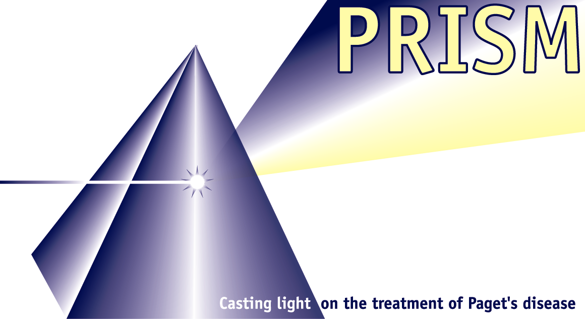 PRISM logo