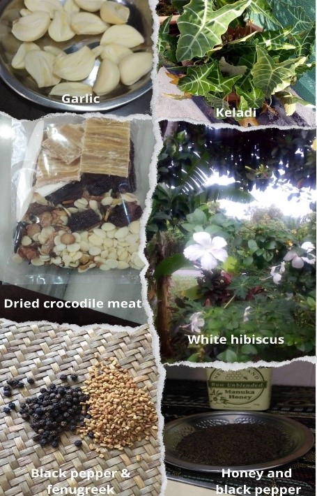 types of traditional remedies used in Malaysia